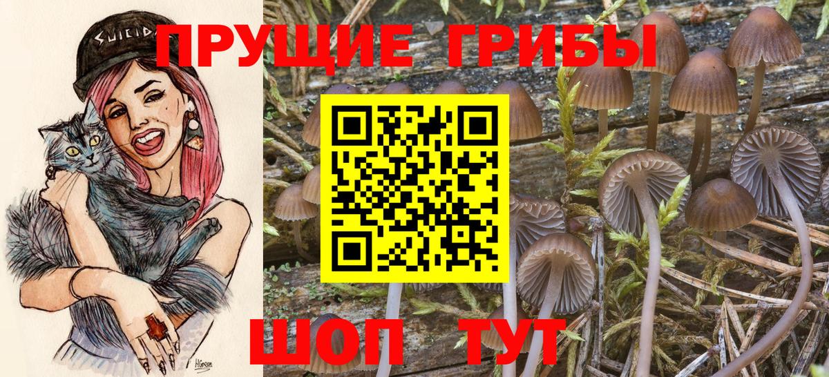 Псилоцибиновые грибы Magic Shrooms  Вход с VPN  Приморско-Ахтарск 
